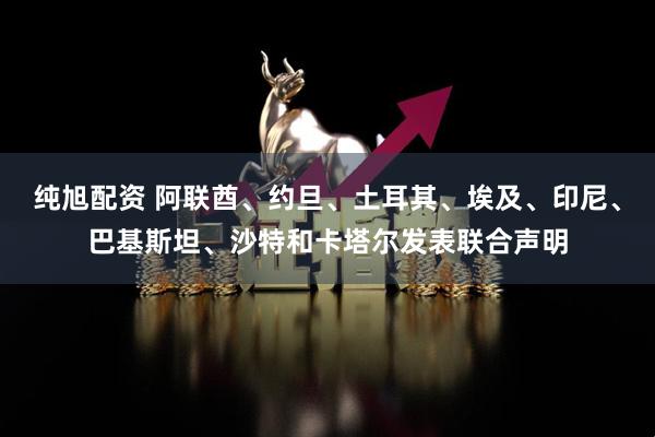 纯旭配资 阿联酋、约旦、土耳其、埃及、印尼、巴基斯坦、沙特和卡塔尔发表联合声明